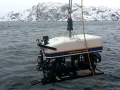 rov1